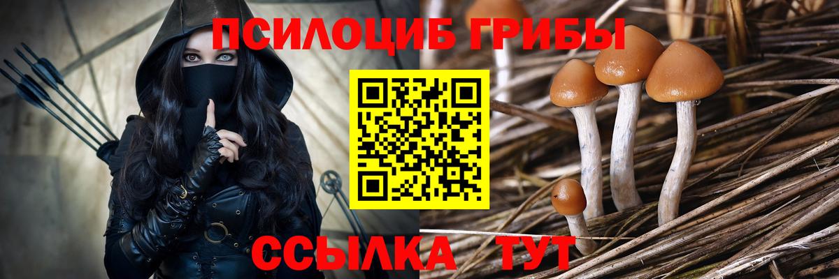 Псилоцибиновые грибы Psilocybe  Галлюциногенные грибы мухоморы  Назарово  Вход с VPN 